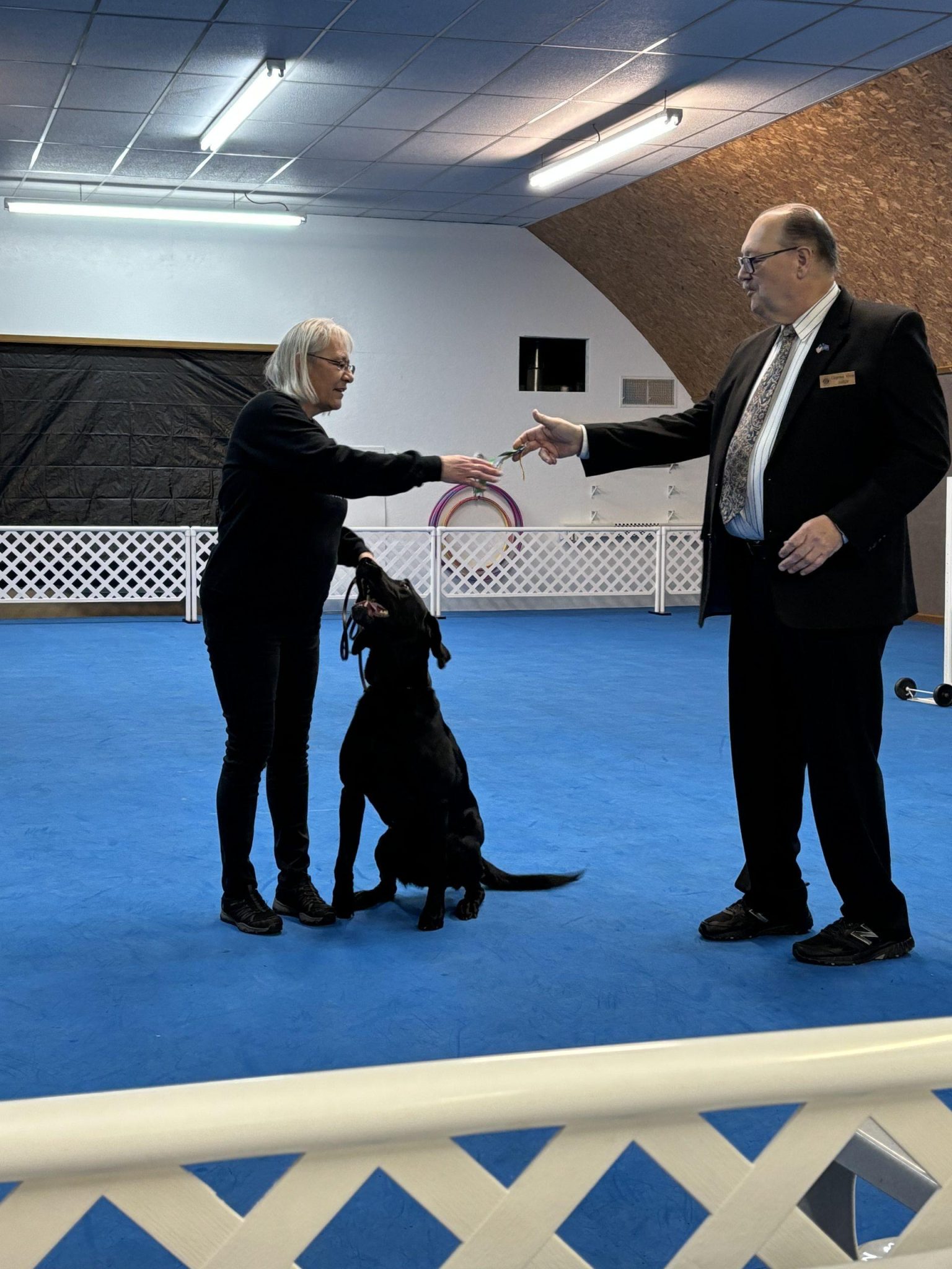 Duluth Kennel Club All Breeds Kennel Club Duluth Minnesota