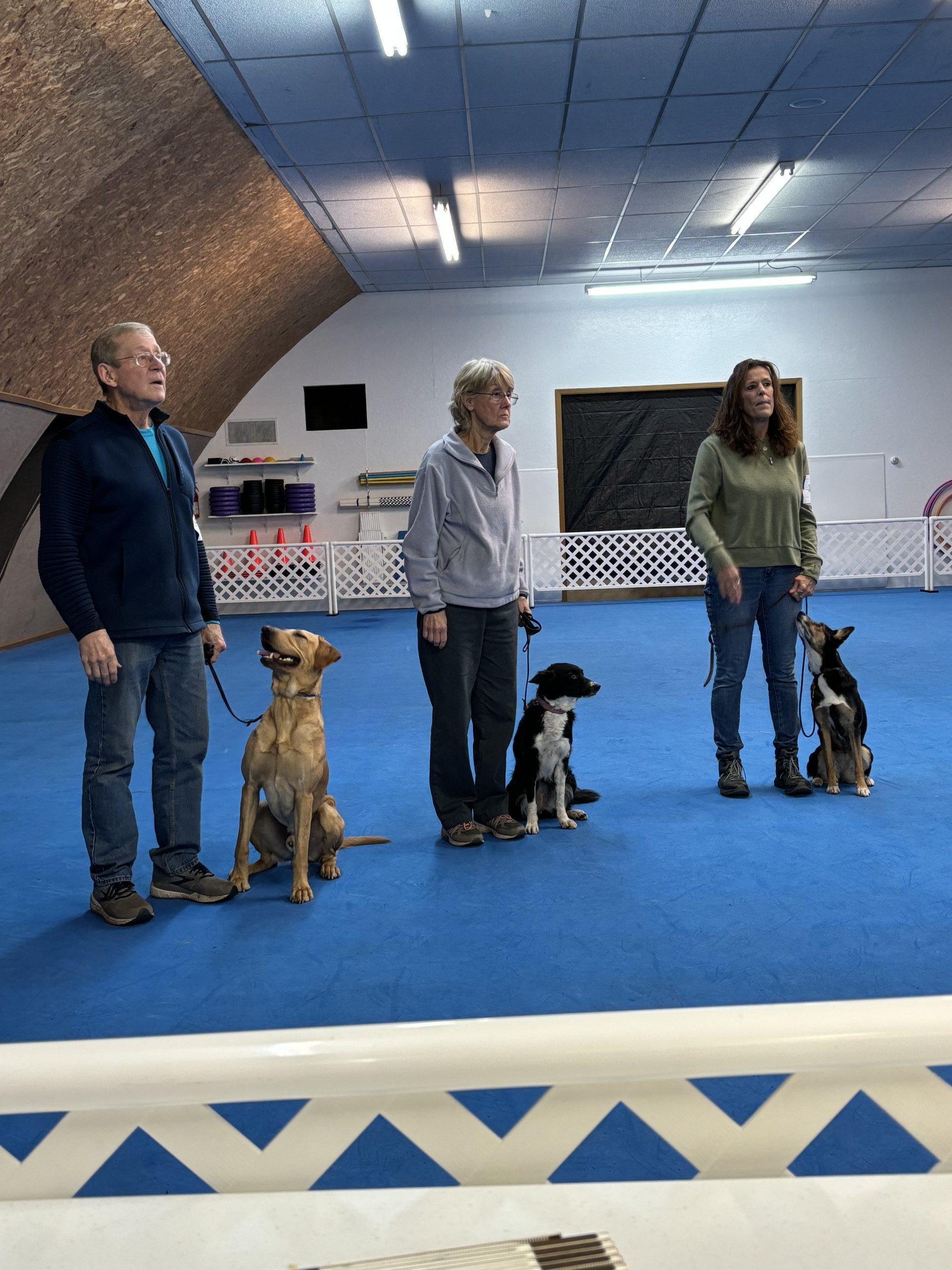 Duluth Kennel Club All Breeds Kennel Club Duluth Minnesota